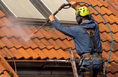 Démoussage et hydrofuge de toiture à Izieu